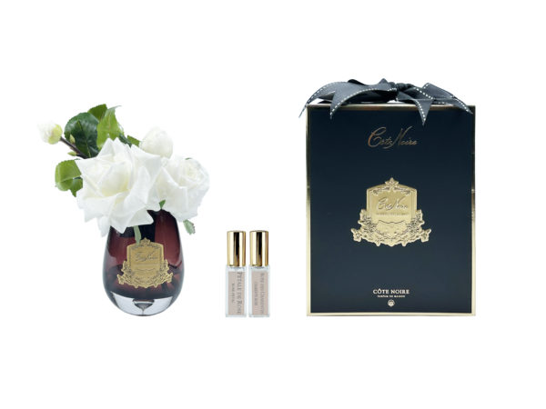 Tea Rose Bianco Avorio - vaso nero